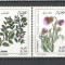 Algeria.1992 Flori de plante medicinale DF.8