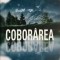 Coborarea Tim Jonhston