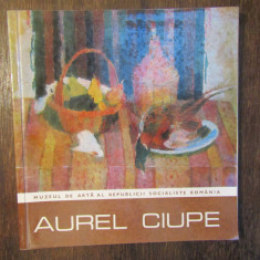 Aurel Ciupe: Expoziție retrospectivă (cu autograful pictorului)