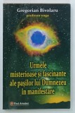 URMELE MISTERIOASE SI FASCINANTE ALE PASILOR LUI DUMNEZEU IN MANIFESTARE de GREGORIAN BIVOLARU , 2009