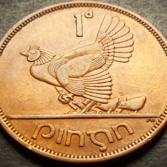 Moneda 1 PENNY / PINGIN - IRLANDA, anul 1962 * cod 4292