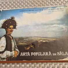 Arta populara din Salaj