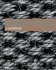 Constructing Architecture Materials, Processes, Structures. A Handbook