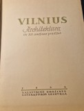 Vilnis arhitectura