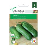 Seminte legume Agrosel, castraveti Metex F1