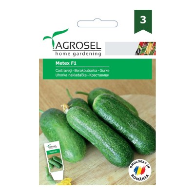 Seminte legume Agrosel, castraveti Metex F1 foto