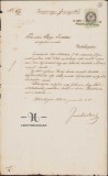 57S Scrisoare oficială a comitelui suprem rom&acirc;n al comitatului Zarand, Dimitrie Ionescu către pretorul Teodor Pop, Baia de Criș, 1868