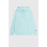 Champion Icons Hooded Sweatshirt Small Logo