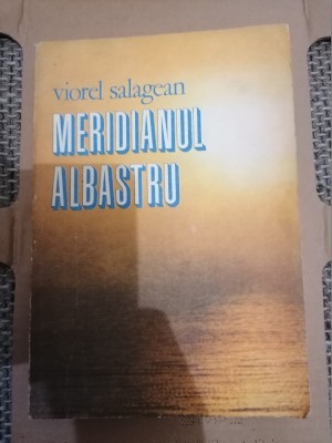 Meridianul albastru Viorel Salagean foto
