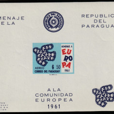 Paraguay 1961-C.E.P.T.1958,Europa Unita,colita nedantelata,nestampilata,Mi.Bl.17