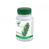 PELIN 60CPS, Medica