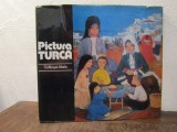 Pictura turcă - Turkkaya Ataov