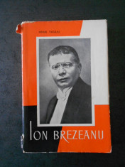 MIHAI VASILIU - ION BREZEANU foto