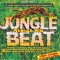 CD 3xCD Various &lrm;&ndash; Jungle Beat (Wicked &amp; Wild) (FATCASE) (VG+)