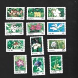 nauru flori mnh