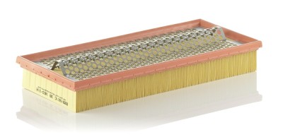 MANN-FILTER C 38 163/1 Filtru aer foto
