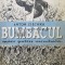 Bumbacul mare putere mondiala - 1946 - Anton Zischka ($R105)