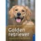 Golden retriever - Margitta Becker-Tigermann