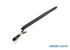 Amortizor haion BMW X5 (11.2012-) [F15] #1 foto