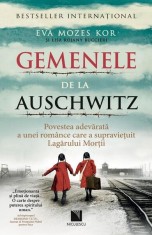Gemenele de la Auschwitz - Paperback brosat - Niculescu foto