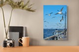Tablou Canvas, "Dansul pescărușilor deasupra mării albastre", Cer, Pescăruși, Mare, Balustradă, Femeie, Lumină, Zbor, Perspectivă, Valluri, Peisaj, Li