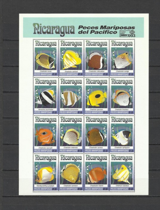 NICARAGUA 1993 FAUNA MARINA PESTI SUPRATIPAR BANGKOK