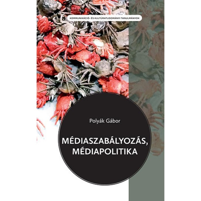 M&eacute;diaszab&aacute;lyoz&aacute;s, m&eacute;diapolitika - Technikai, gazdas&aacute;gi &eacute;s t&aacute;rsadalomtudom&aacute;nyi &ouml;sszef&uuml;gg&eacute;sek - Poly&aacute;k G&aacute;bor