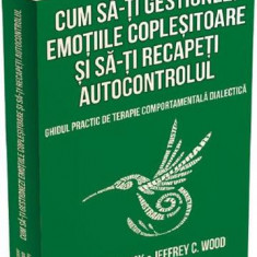 Cum sa-ti gestionezi emotiile coplesitoare si sa-ti recapeti autocontrolul