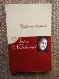 BUJOR NEDELCOVICI- Culoarea timpului. Cronici, recenzii si articole publicate in Occident si in Romania