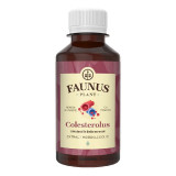 Tinctura Colesterolus, 200 ml, Faunus Plant