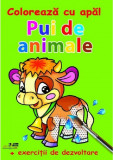 Pui de animale. Coloreaza cu apa |, Biblion