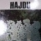 HAJDU- ALEXANDRU CEBUC
