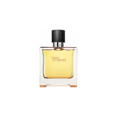 Hermes Terre d`Hermes Tester Barbati EDP 75 ml foto