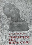 Cumpara ieftin Tineretea lui Brancusi - V. G. Paleolog (AB89), Tineretului