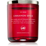 DW Home Dala Cinnamon Spice lum&acirc;nare parfumată 244 g