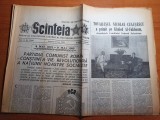 Scanteia 8 mai 1983-gimnastele l. agache si ecaterina szabo campioane europene