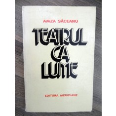 TEATRUL CA LUME DE AMZA SACEANU