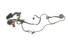 Cablaj ușă dreapta față AUDI Q7 4L 2008 OEM: 4L0971841 11724836