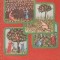 Magazin Istoric, Nr. 2 - Februarie 1984