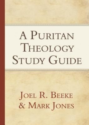 A Puritan Theology foto
