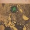Omul de aur, Volumul al II- lea