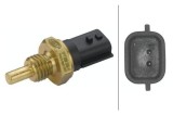 Senzor temperatura lichid de racire Dacia Dokker, Duster, Duster SUV, Lodgy; Nissan NV300, NV300 Sasiu; Opel Movano B, Movano B Sasiu, Vivaro B;