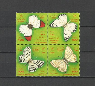 OMAN 2000 FAUNA INSECTE FLUTURI foto