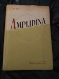 AMPLIDINA,MASINA ELECTRICA amplificatoare de curent continuu cu camp transversal