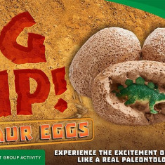 Dig It Up! Dinosaur Eggs Oua de dinozauri