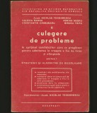 Cumpara ieftin CULEGERE DE PROBLEME, PARTEA I STRATEGII ȘI ALGORITMI DE REZOLVARE N. TEODORESCU