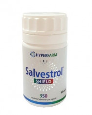 Salvestrol Shield 60 cps foto