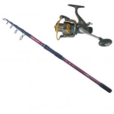 Set lanseta Wild Carp 4 Lbs 3.6 m si mulineta KT3000A