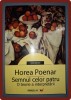 Horea Poenar - Semnul Celor Patru: O Teorie a Interpretarii, Paralela 45, 2008, Studii Literare