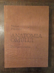 Anatomia omului (vol.1) - Aparatul locomotor - Victor Papilian foto